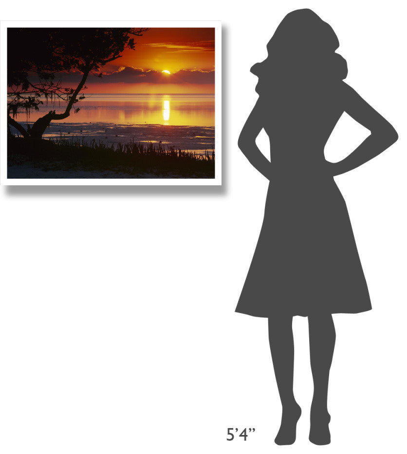 "Sunset over Anne's Beach, Florida" Paper Print by Tim Fitzharris, 34"x26"
