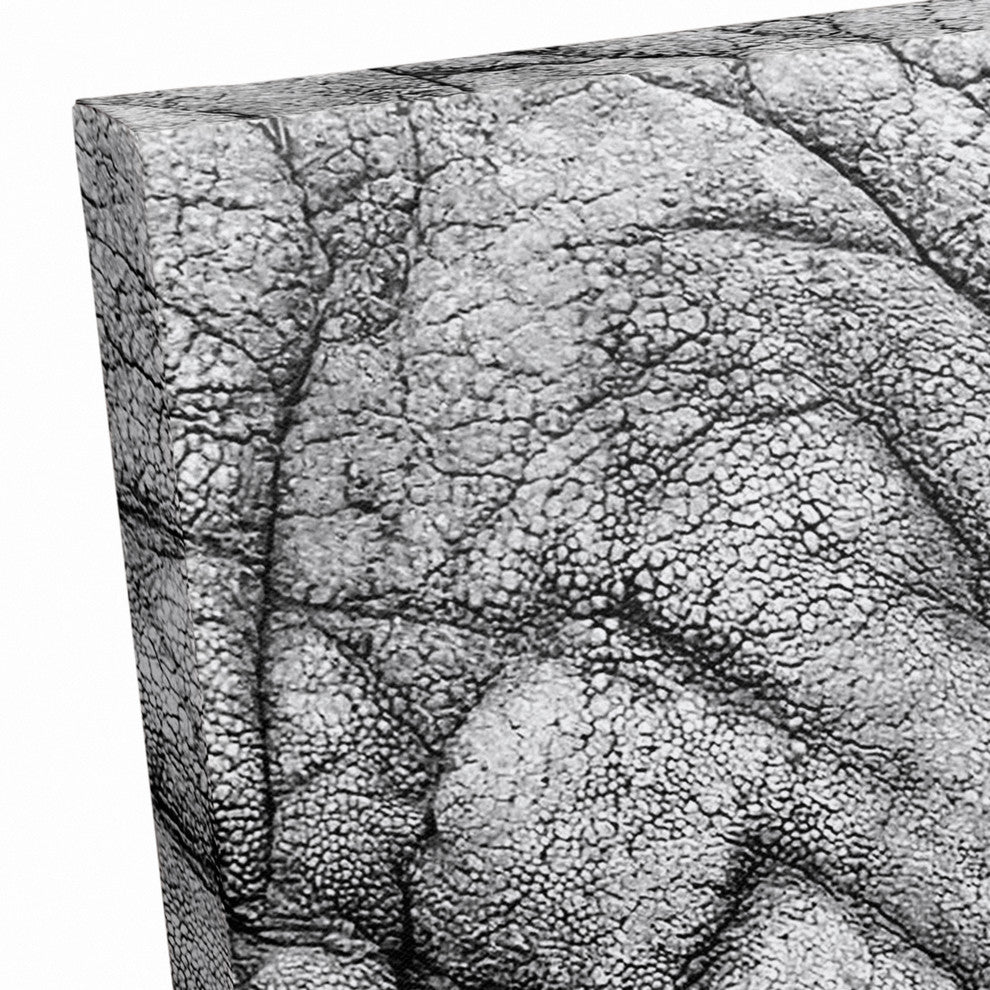 Elephant Face Print on Canvas