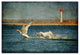 ''Swans'' Canvas Art by Lois Bryan