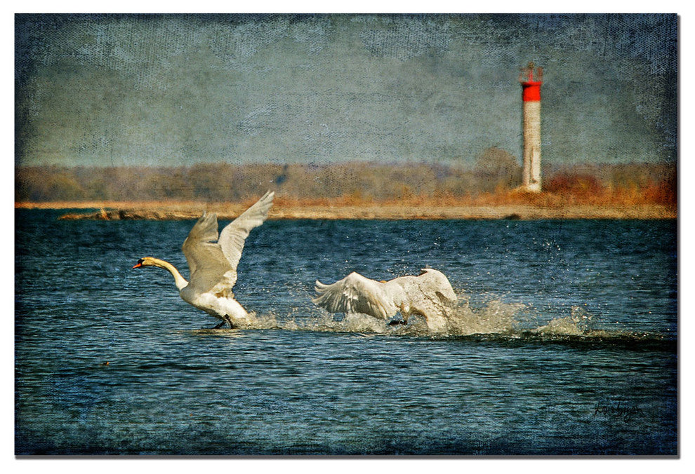 ''Swans'' Canvas Art by Lois Bryan