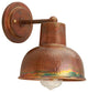 Elina 1-Light Sconce, Burnt Copper, Burnt Copper