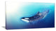 "Killer Whale and Sea" Animal Digital Art Canvas Print, 32"x16"