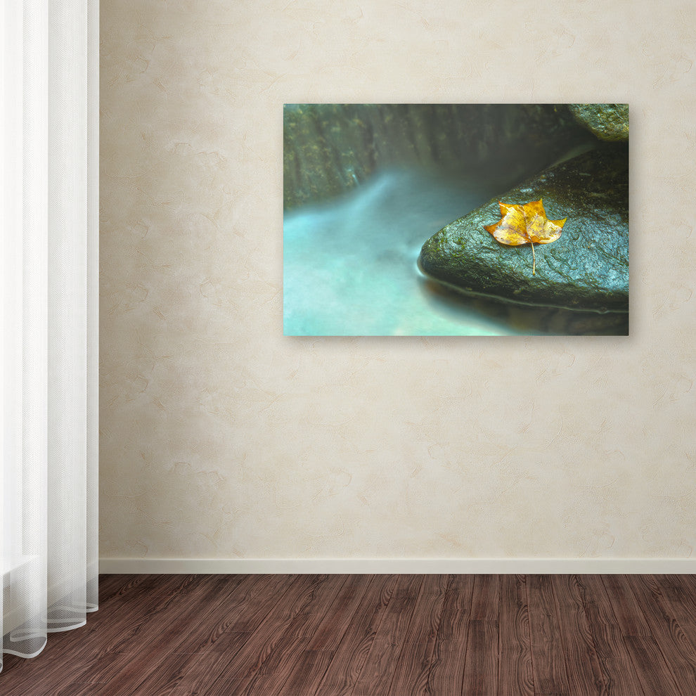 PIPA Fine Art ''Misty Leaf'' Canvas Art, 32x22