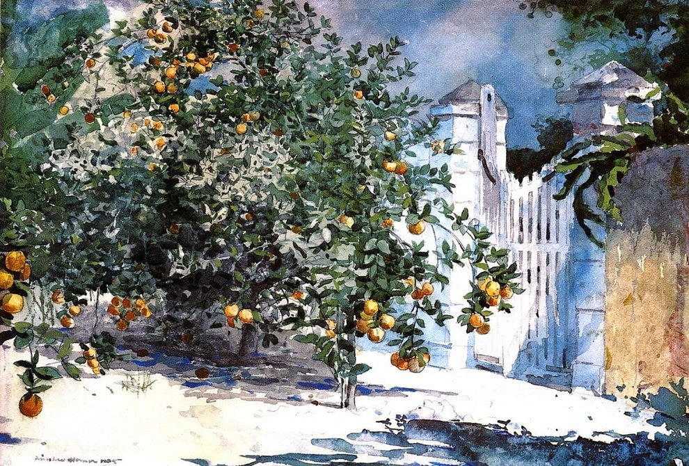 Winslow Homer Orange Tree Nassau Wall Decal