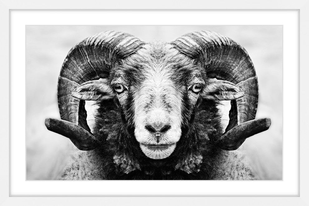 Marmont Hill, "I Dare You Ram" Framed Painting Print, 24x16