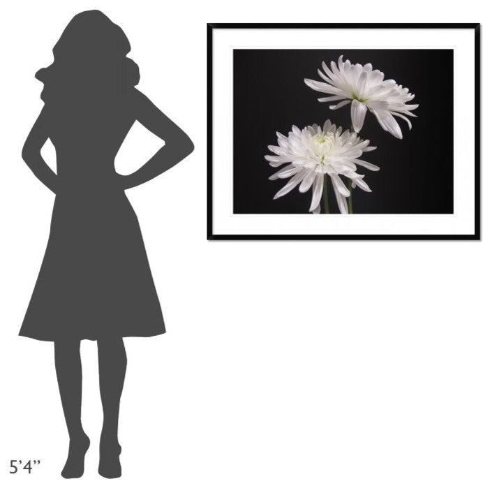 "Simple Beauty" Framed Digital Print by Kelly Holm, 40x32"