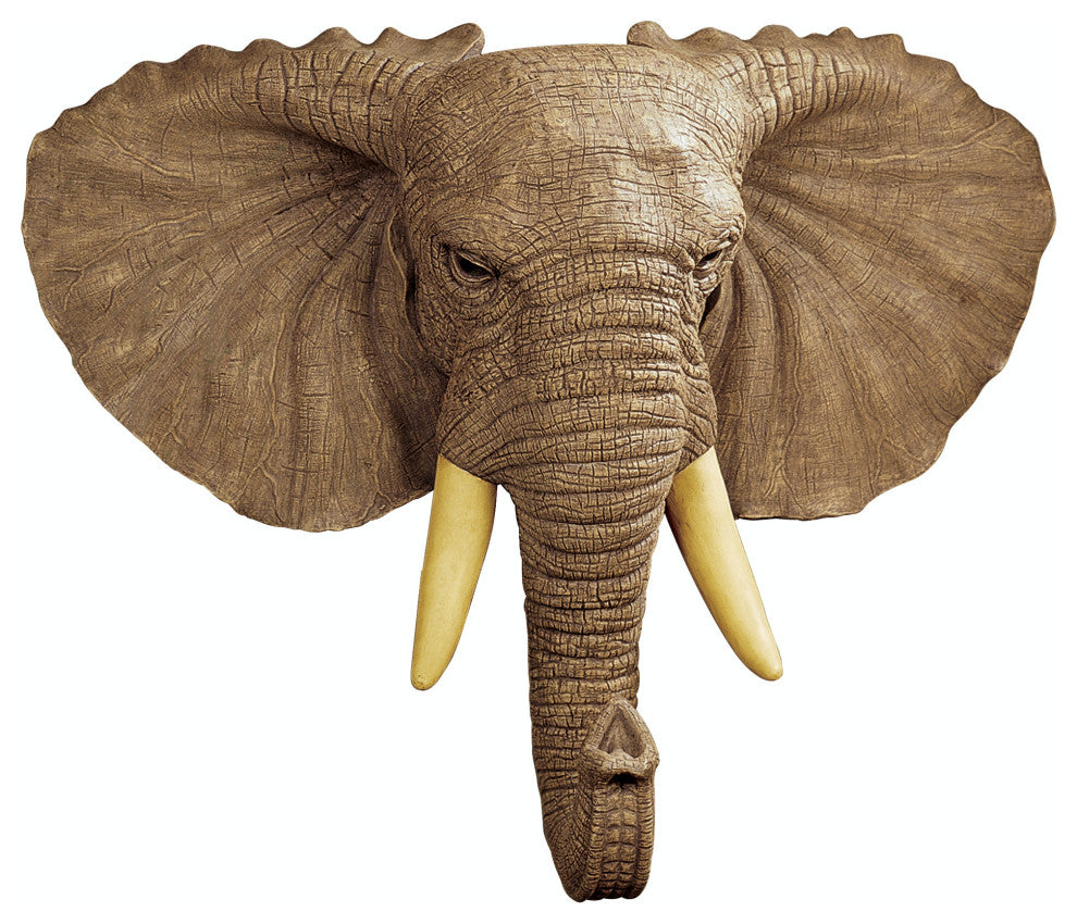 Lord Earl Houghton''s Elephant Wall Sculpture