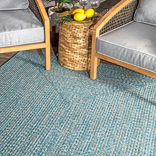 Nuloom Braided Lefebvre Indoor/Outdoor Area Rug, Aqua 3'x5'