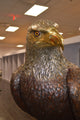 Large Eagle Standing On A Branch Bronze Statue -  Size: 30"L x 40"W x 70"H.