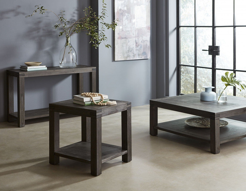 Modus Meadow 2 Piece Coffee and End Table Set, Graphite