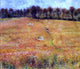 Pierre Auguste Renoir Path through the High Grass Wall Decal