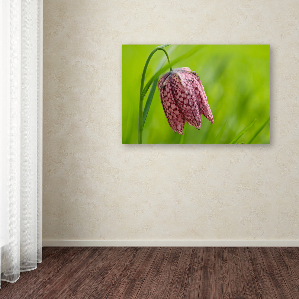 Cora Niele ''Snake''s Head Fritillary Flower'' Canvas Art
