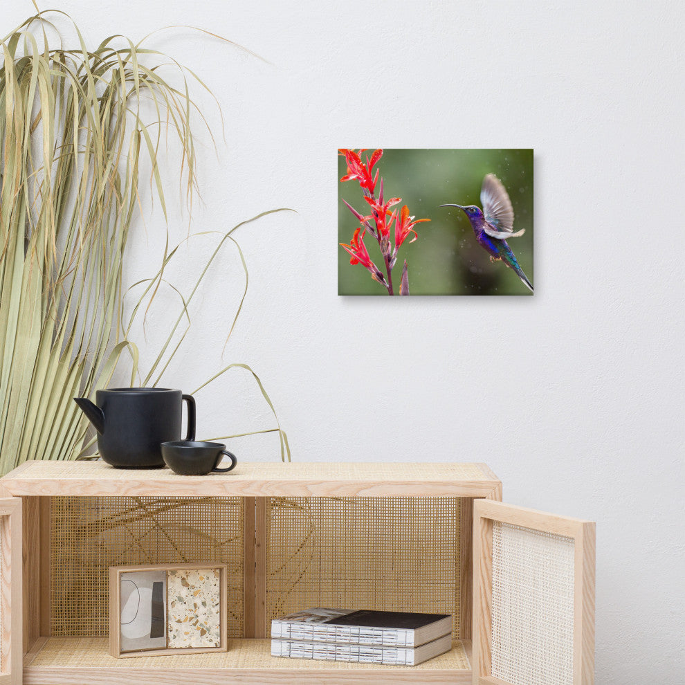Hummingbird with Little Red Flowers Wildlife Photograph Canvas Wall Art Prints, 12" X 16"