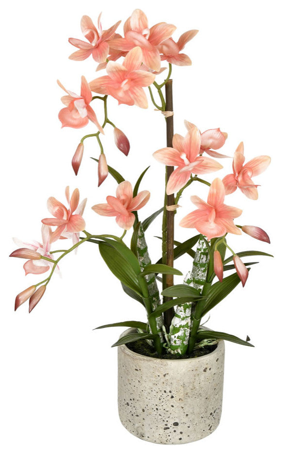 Vickerman 19" Cycnoches in Pot, Orange