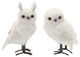 White Owl Decor, 4-Piece Set