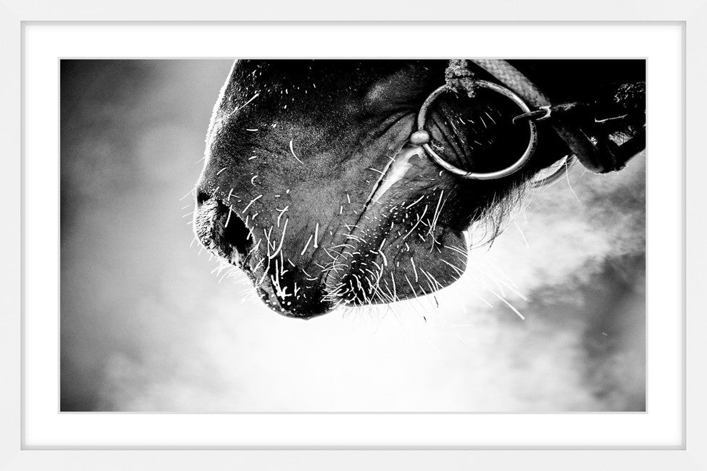 Marmont Hill, "Muzzle" Framed Painting Print, 30x20