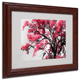 'Glowing Tones' Matted Framed Canvas Art by Philippe Sainte-Laudy