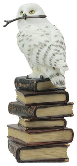 White Snowy Owl Perched On Stack of Magical Books Statue