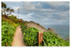 Chris Moyer ''La Jolla Walk'' Canvas Art, 47"x30"