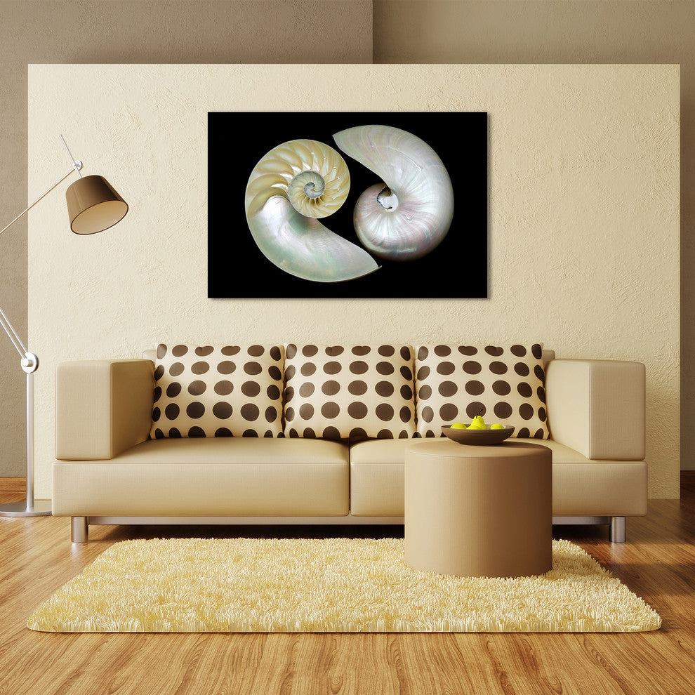 "Caracol" Frameless Free Floating Tempered Art Glass Wall Art 32 x 48"