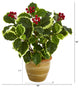 14" Variegated Holly Leaf Artificial Plant, Ceramic Planter, Real Touch
