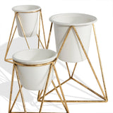 3-Piece Viola Table Top Planter Set