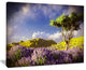"Bright Lavender Garden Field" Modern Landscape Wall Art Canvas, 20"x12"