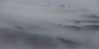 "Peeking Through the Mist" Painting Print on Canvas