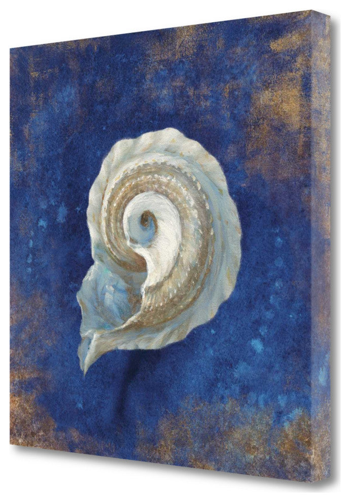 35" Rustic Deep Blue and Gold Conch Giclee Wrap Canvas Wall Art