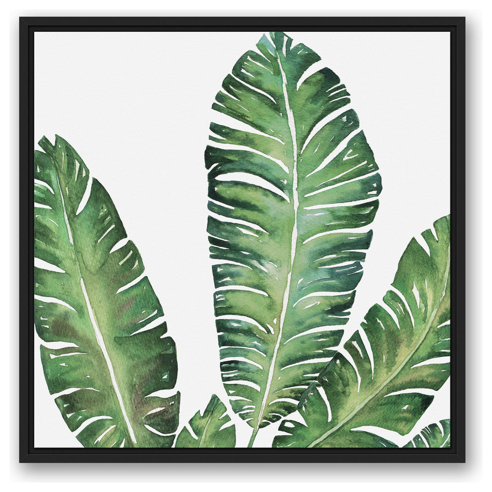 Banana Leaves 24x24 Black Floating Framed Canvas