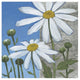 "Summer Garden I" Digital Paper Print by Kathrine Lovell, 26"x26"