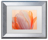 Cora Niele 'Orange Glowing Tulip' Matted Framed Art