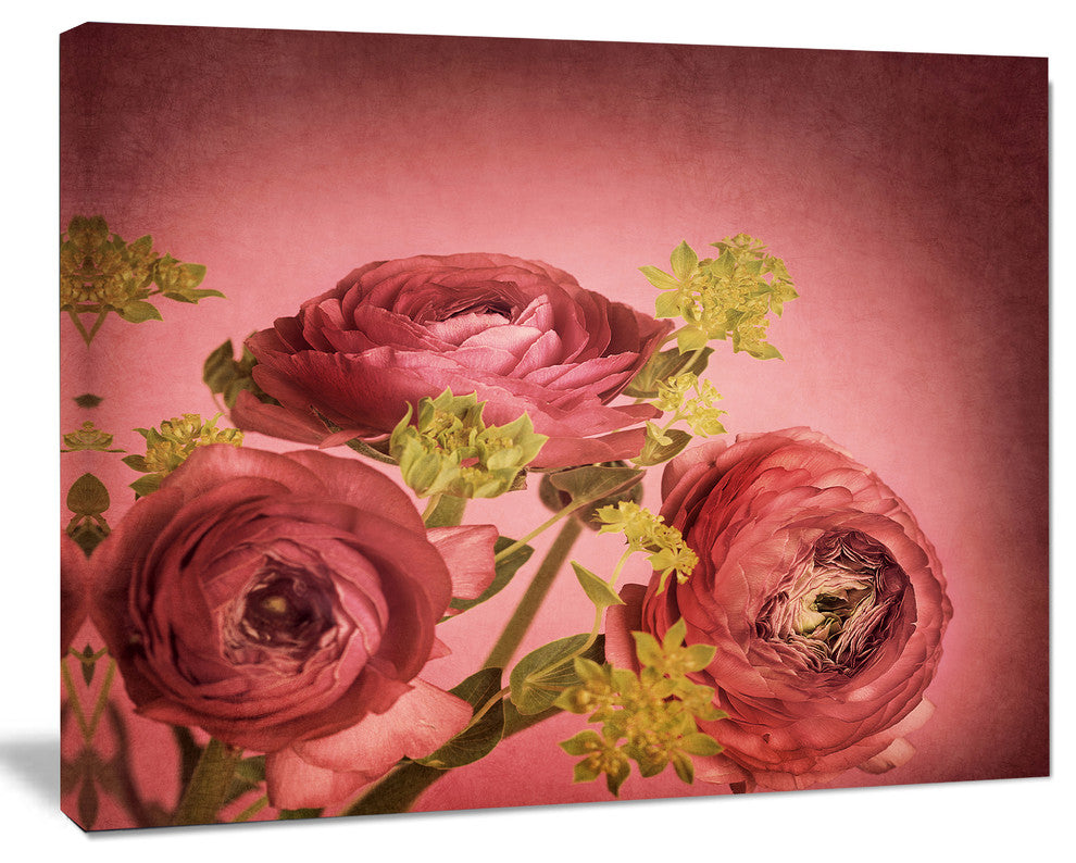 Ranunculus Flowers Stem on Pink, Floral Canvas Art Print, 20"x12"