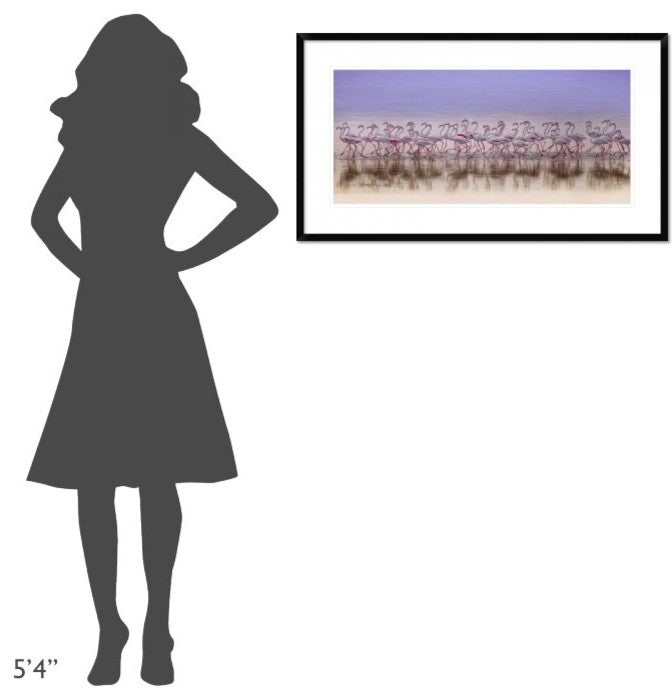 "Comrades In Color" Framed Digital Print by Ahmed Thabet, 38x21"