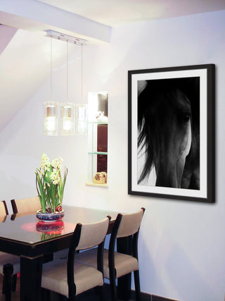 "Shadow Horse" Framed Art Print, 41x61 cm