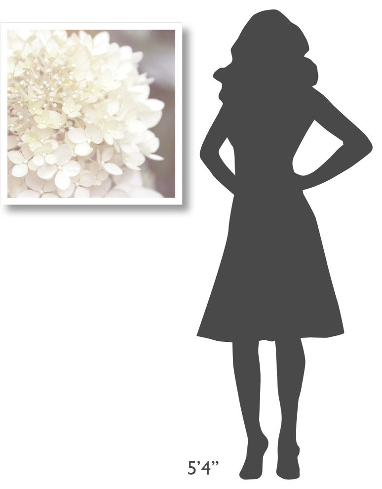 "Hydrangea Dream I" Digital Paper Print by Laura Marshall, 26"x26"