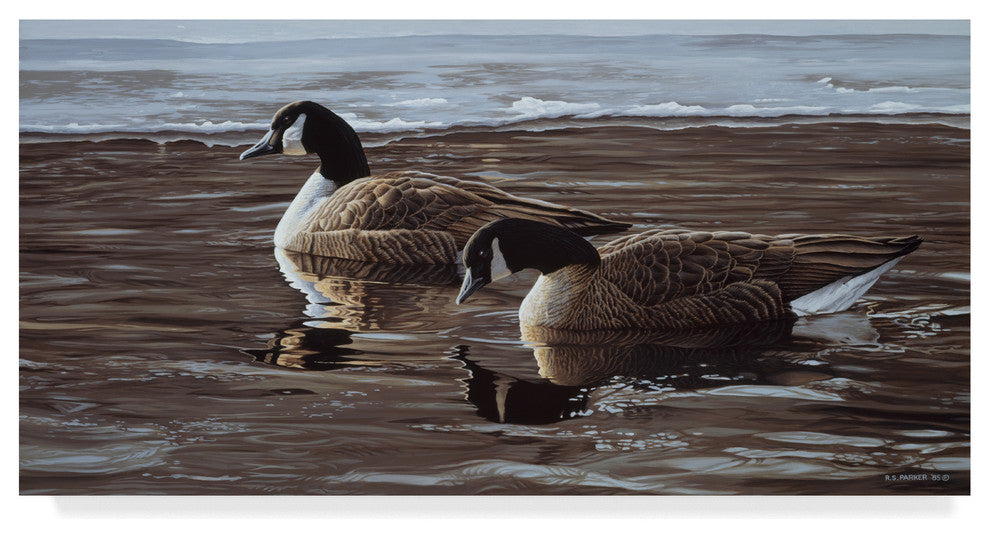Ron Parker ''A Break In The Ice Canada Geese'' Canvas Art, 19"x10"