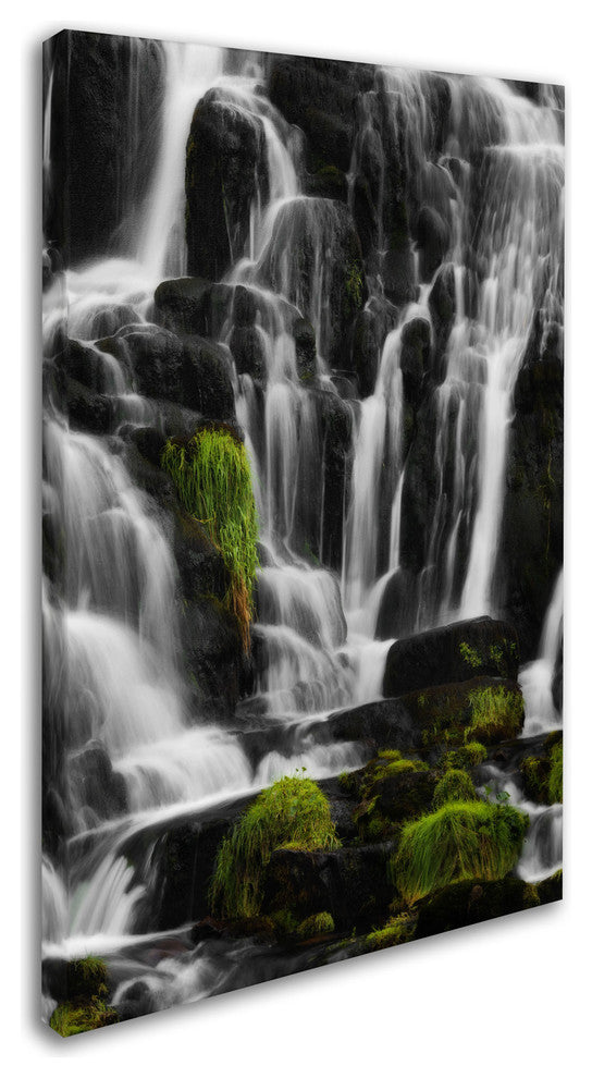 ''White Sonority'' Canvas Art by Philippe Sainte-Laudy