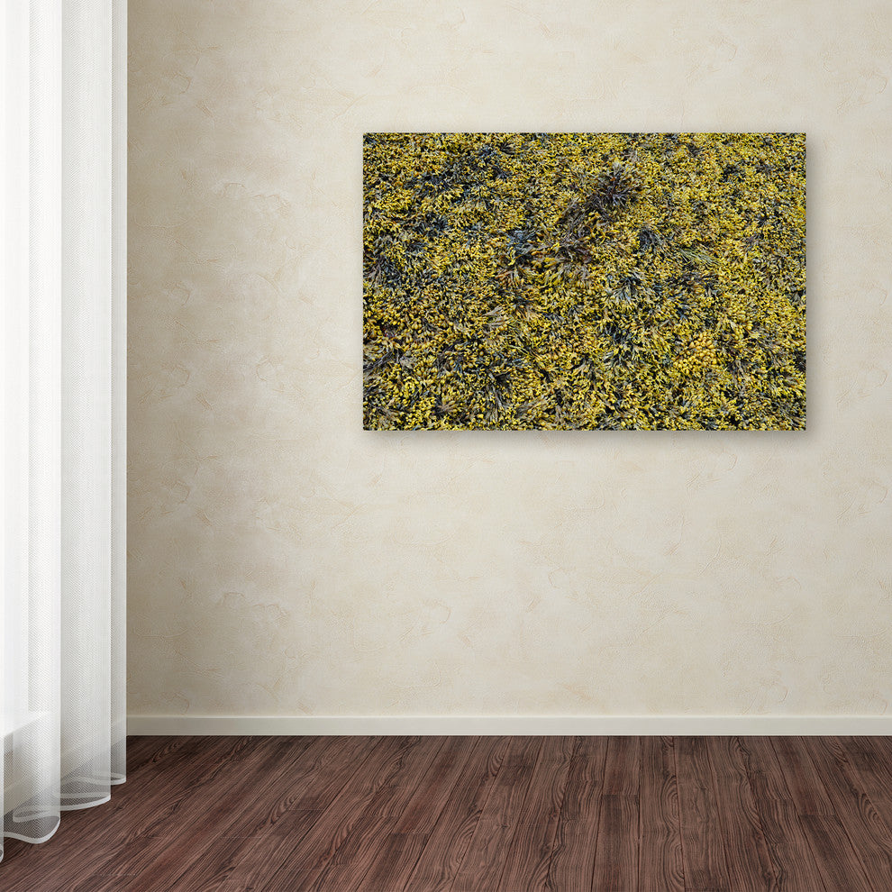 Nicole Dietz 'Seaweed' Canvas Art, 19x12