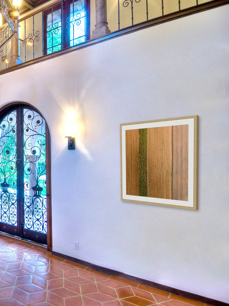 "Seeded Land" Framed Print by Karolis Janulis