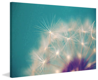 Dandelion Puffs Print on Canvas, 30x20 cm