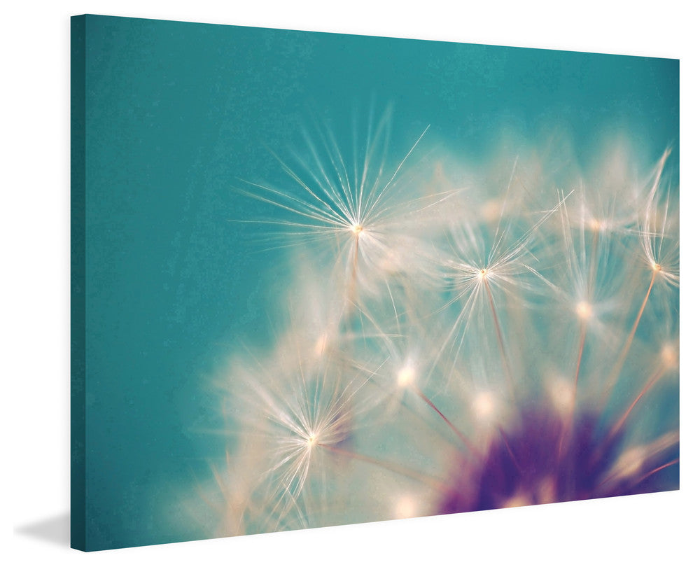 Dandelion Puffs Print on Canvas, 30x20 cm