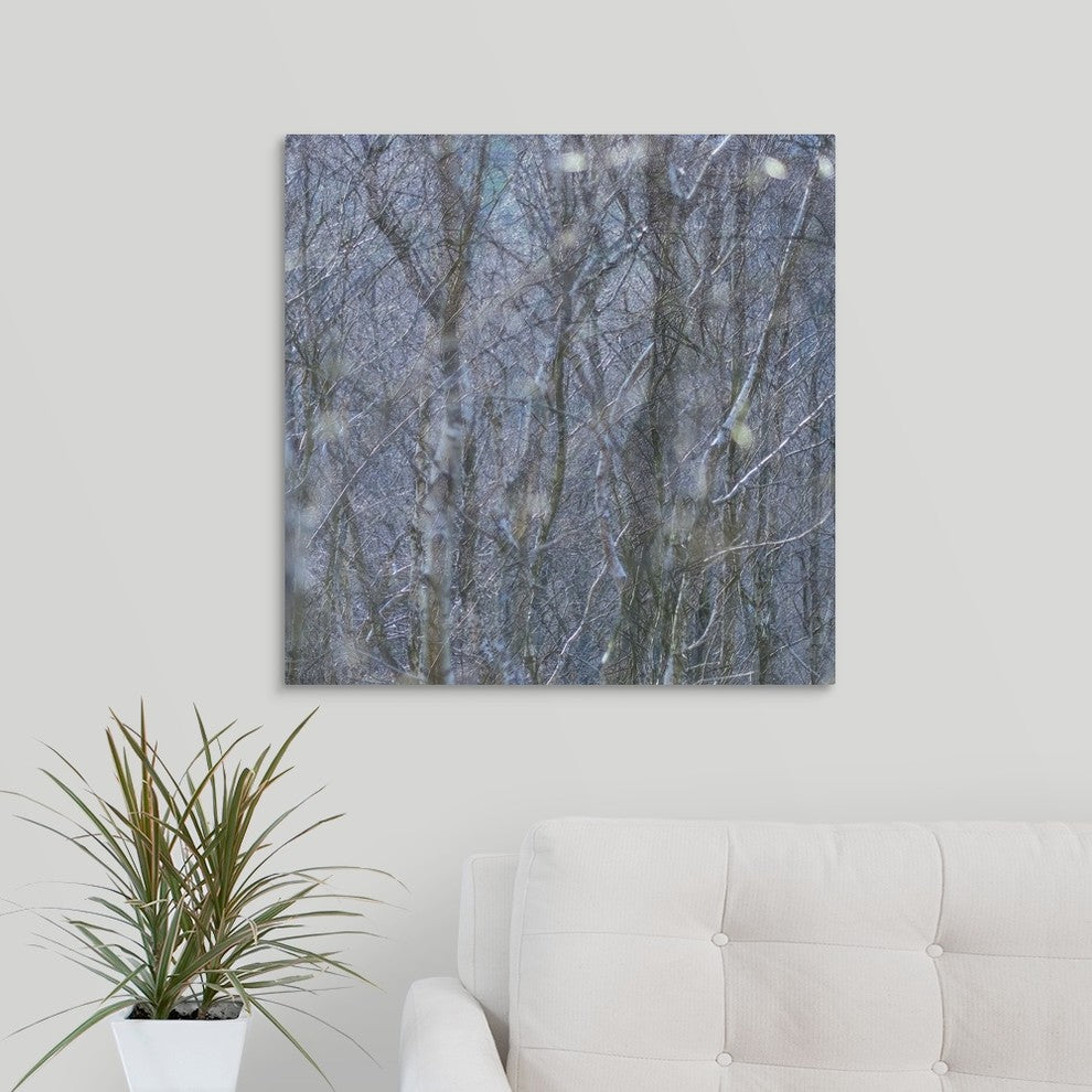 "Woodland Shimmer" Wrapped Canvas Art Print, 24"x24"x1.5"