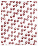 Plaid Paw Print Pattern 50x60 Sherpa Fleece Blanket