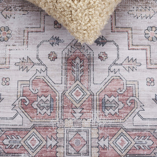 Safavieh Arizona Machine-Washable Collection ARZ243 Rug, Sage/Rust, 6'x9'