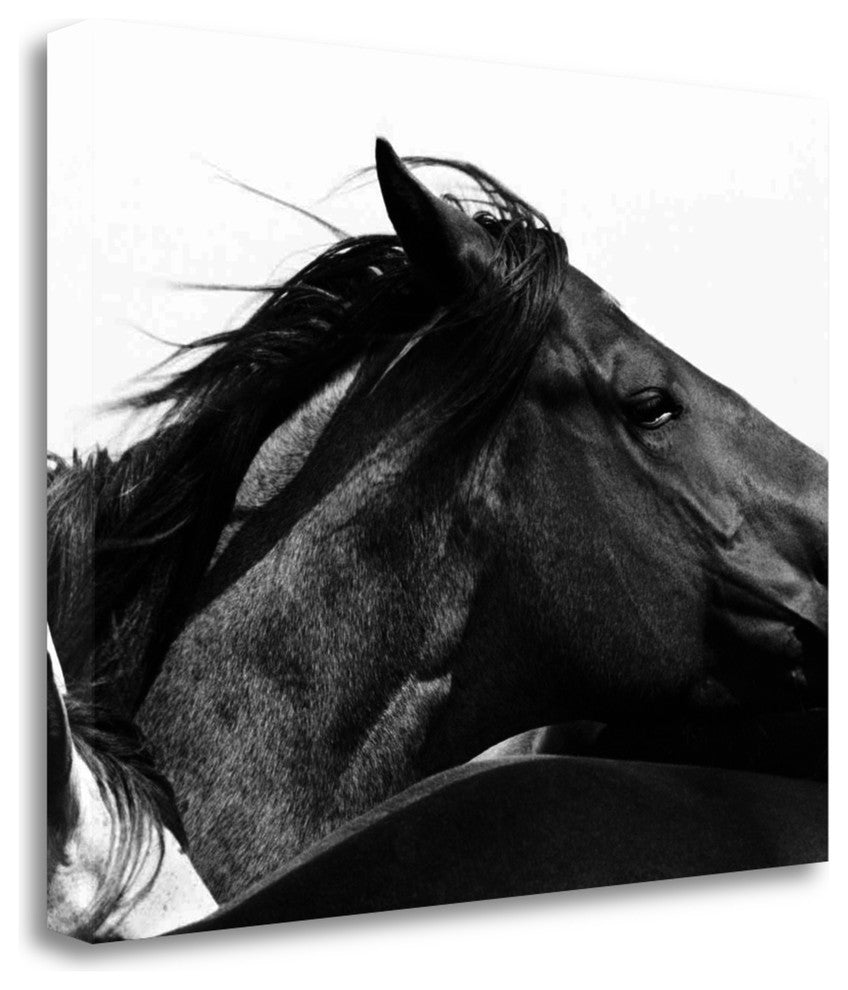 "Wild Whispers II" By Peggy Corpeny, Giclee Print on Gallery Wrap Canvas