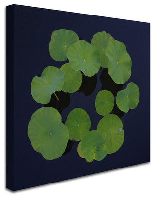 'Giant Lily Pad Abstract' Canvas Art by Kurt Shaffer