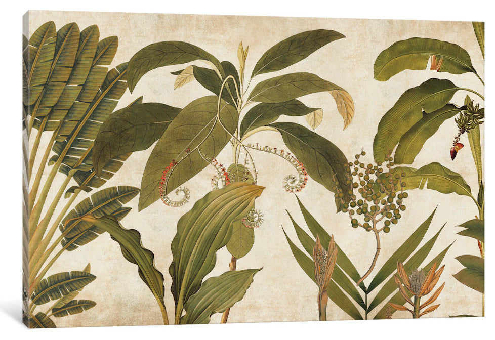 "Palm Medley" by Chris Donovan, Canvas Print, 18"x12"