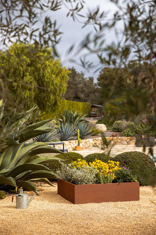 Metallic Series Corten Steel Raised Garden Bed
