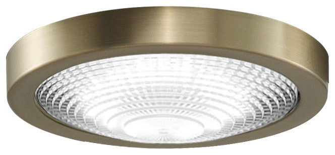 Fanimation Spitfire LED Ceiling Fan Light Kit - Brushed Satin Brass